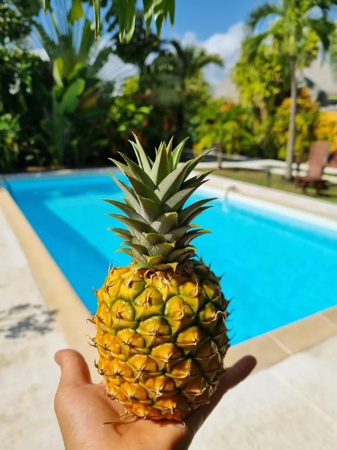 Gites Kaladja Port-Louis Apartmán